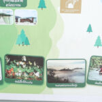 glamping the tree riverside petchaburi